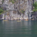 Auf dem Greiangerfjord